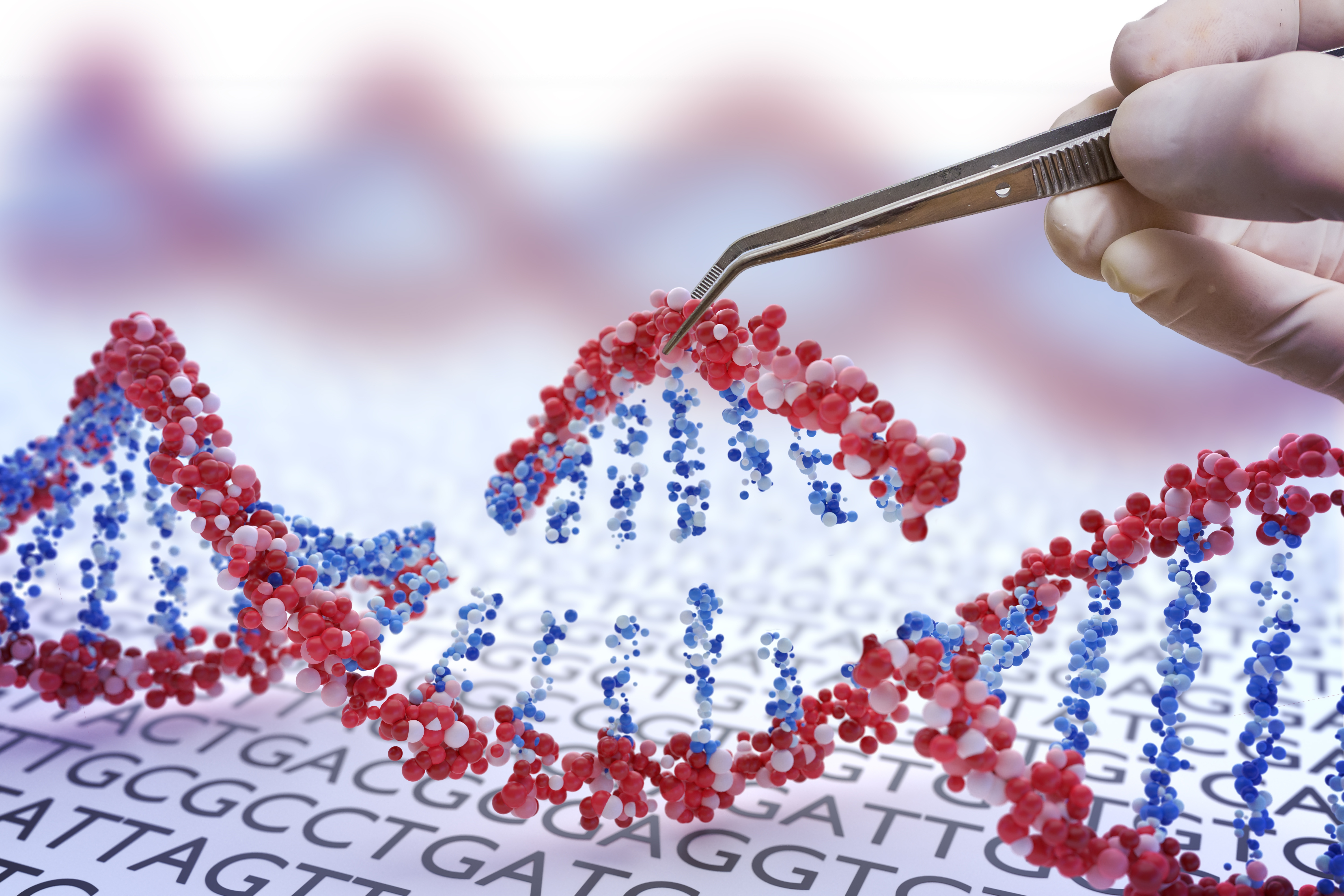 CRISPR یک فناوری ویرایش ژن است که به دانشمندان این امکان را می دهد تا به طور دقیق ناحیه ای از توالی DNA را تغییر دهند. دانشمندان در این مطالعه از CRISPR برای خاموش کردن هر دو نسخه از ژن هانتینگتین استفاده کردند که باعث بهبود علائم در مدلهای موش HD شد.