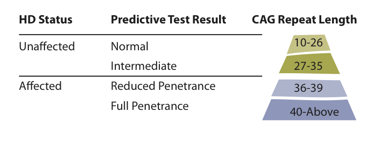 جدولی که نتایج احتمالی مختلف از یک آزمایش پیش بینی ژن HD  را خلاصه می کند.  