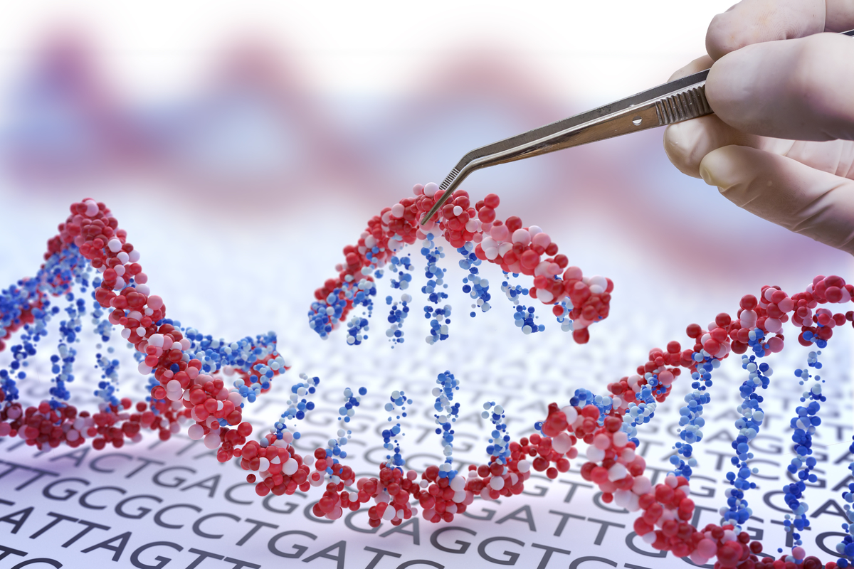 CRISPR یک فناوری ویرایش ژن است که به دانشمندان این امکان را می دهد تا به طور دقیق ناحیه ای از توالی DNA را تغییر دهند. دانشمندان در این مطالعه از CRISPR برای خاموش کردن هر دو نسخه از ژن هانتینگتین استفاده کردند که باعث بهبود علائم در مدل‌های موش HD شد.  