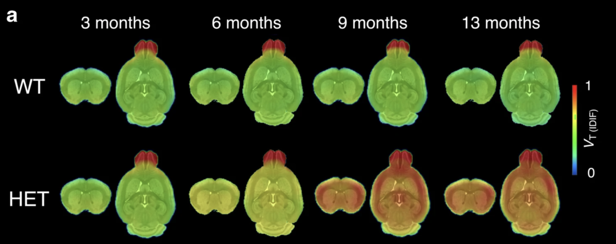 برای موش‌هایی که فاقد HD، هیچ منطقه‌ای در مغز روشن نمی‌شود، حتی با گذشت زمان و رشد سن، در حالی که برای موش‌های مبتلا به HD، دانشمندان توانستند با استفاده از این ابزار، تجمع گروه‌های هانتینگتین در مغز موش‌های بیمار را با گذشت زمان پیگیری کنند و همچنین هرچه بیشتر زمان می‌گذرد، قسمتهای بیشتری از مغز روشن می‌شود.  