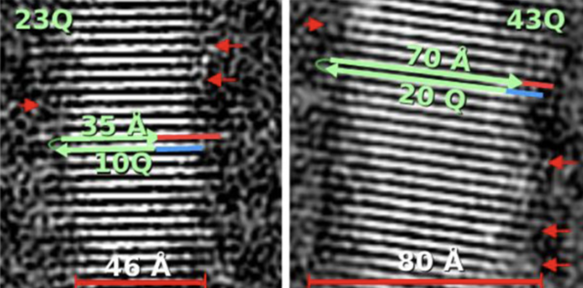 محققان دریافتند که جهش HD منجر به تغییراتی در ابعاد فیبرهای پروتئین هانتینگتین میشود - جهش HD باعث می‌شود فیبریل‌ها پهن‌تر شوند که در سمت راست تصویر نشان داده شده است. تصویر با اجازه پروفسور هلال لاشول به اشتراک گذاشته شد.  