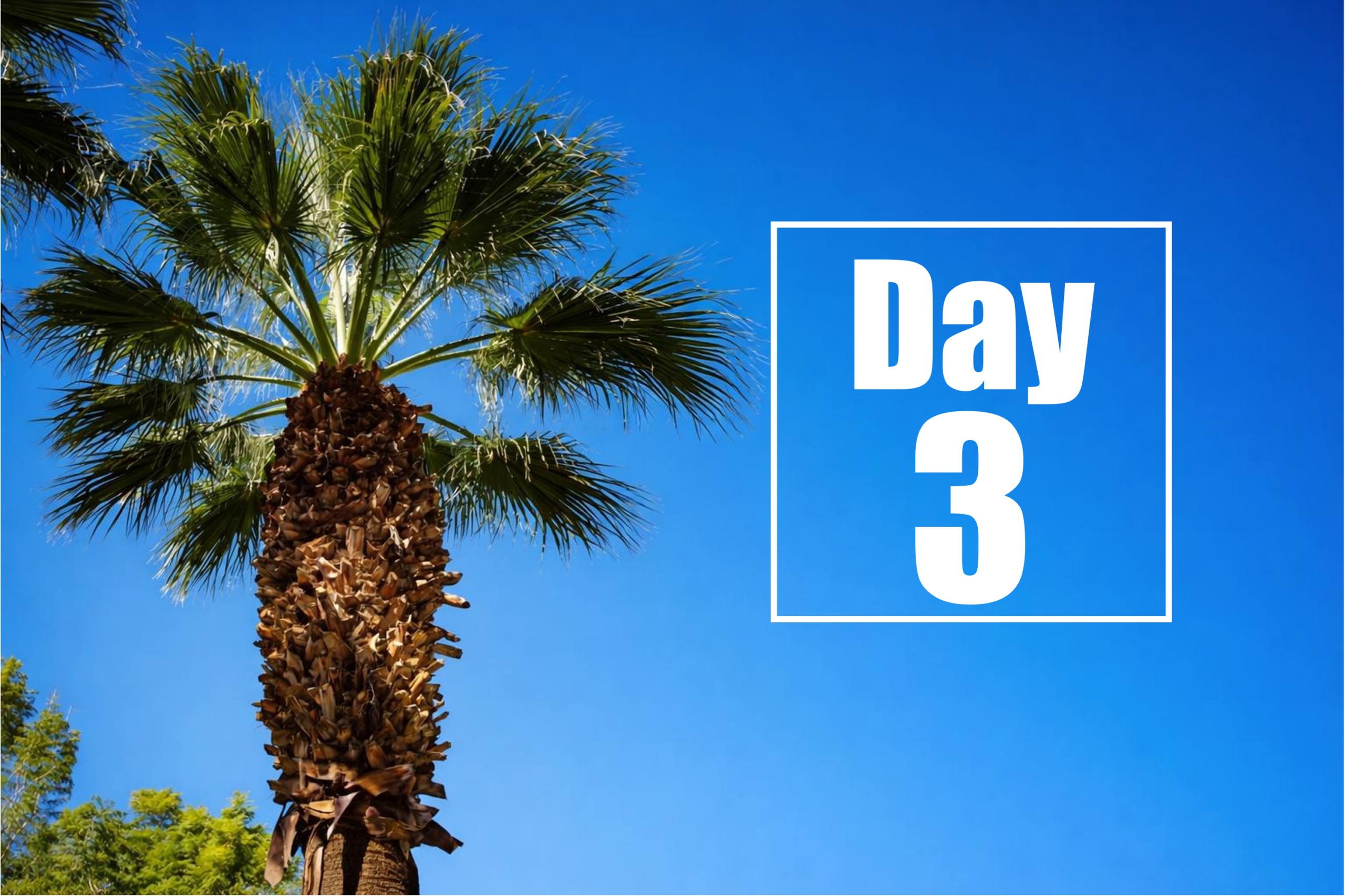 کنفرانس درمانهای بیماری هانتینگتون ۲۰۲۶ – روز ۳