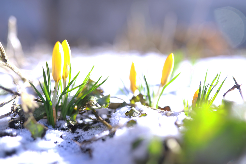 مارس ۲۰۲۶: این ماه در تحقیقات بیماری هانتینگتون