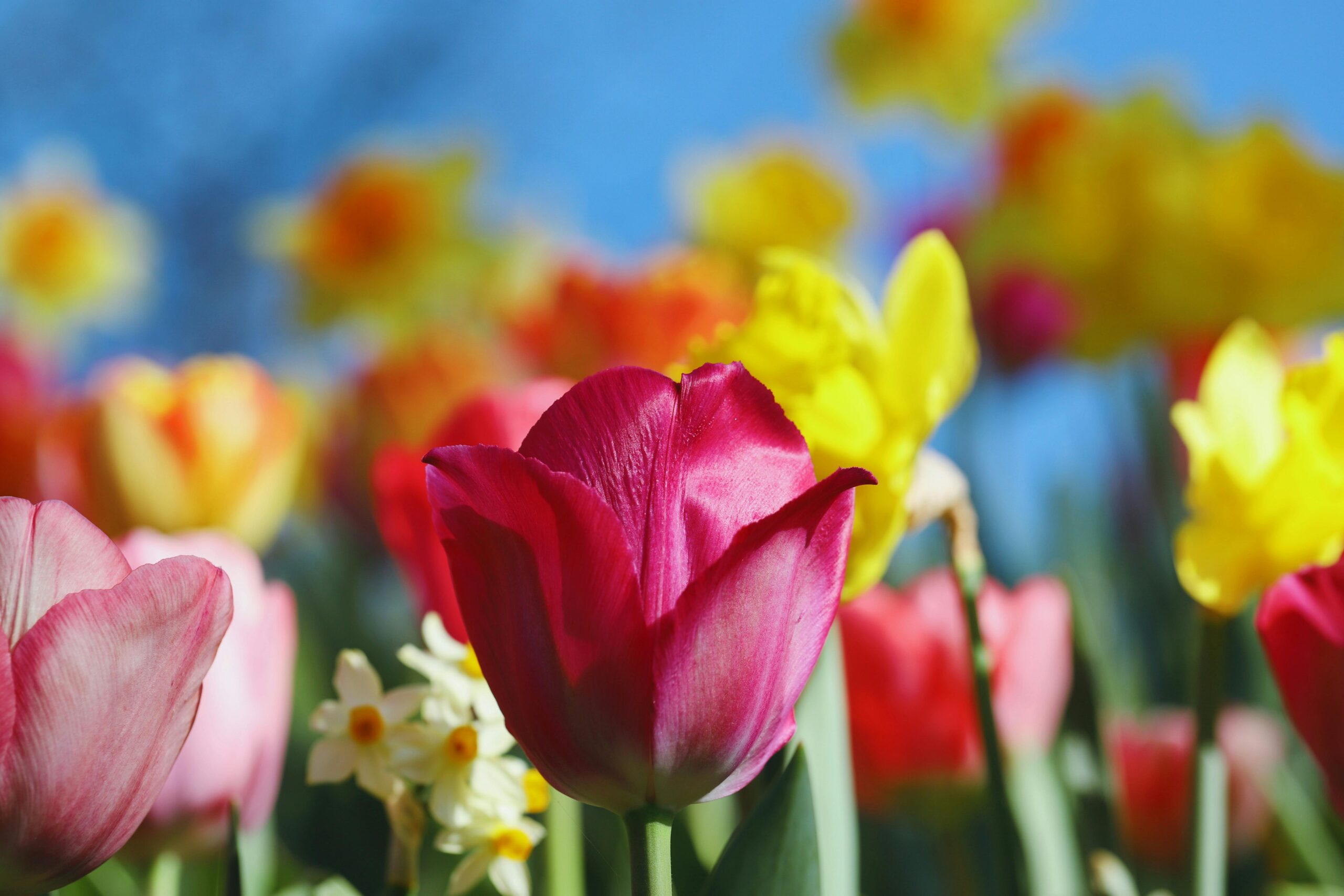 آوریل ۲۰۲۶: این ماه در پژوهش‌های بیماری هانتینگتون